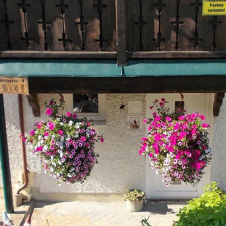 Haus Amsel Apartment Ebensee Bagian luar foto